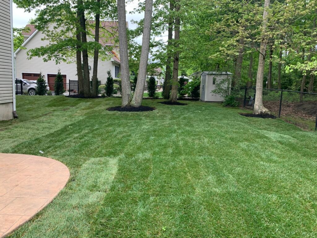 Our Expert Sod & Turf Installation Services in Monmouth County, NJ