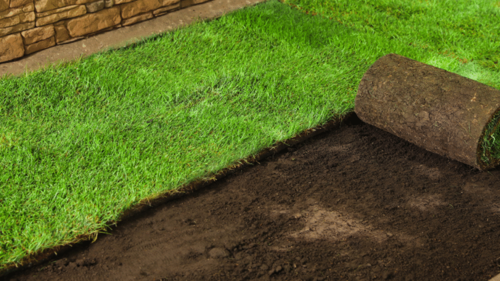 Professional Sod & Turf Installtion services