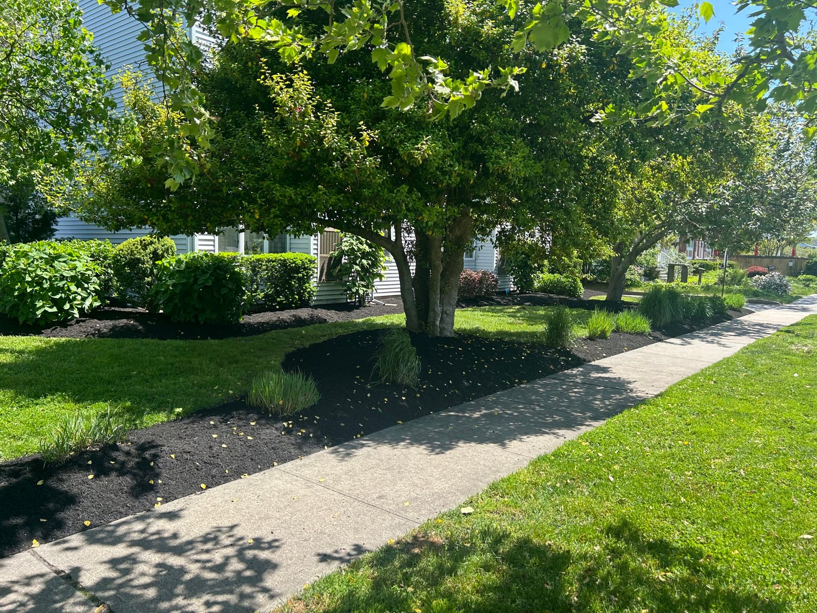 Landscaper in Matawan NJ   professional lawn care hardscaping and landscape design by Baur Lawns