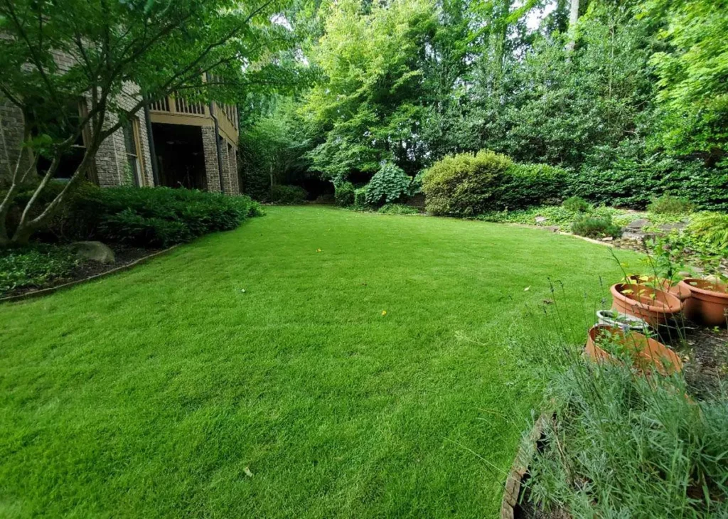 Sod & Turf installation in Monmouth County