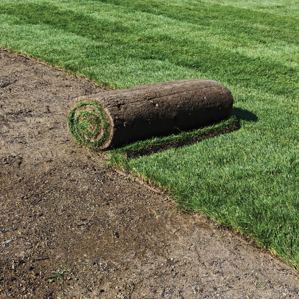 Expert Sod & Turf Installation in Monmouth County