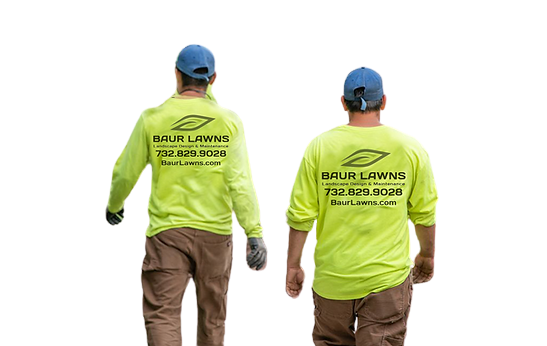 baurlawncertifiedtechnicianspng Baur Lawns