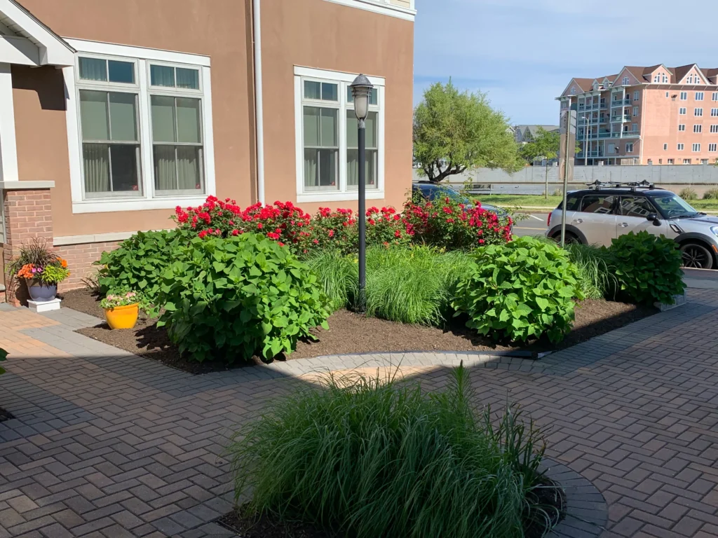 Exterior view of a peach colored building with white trimmed windows a black lamppost and vibrant red flowering bushes in a landscaped area near brick walkways