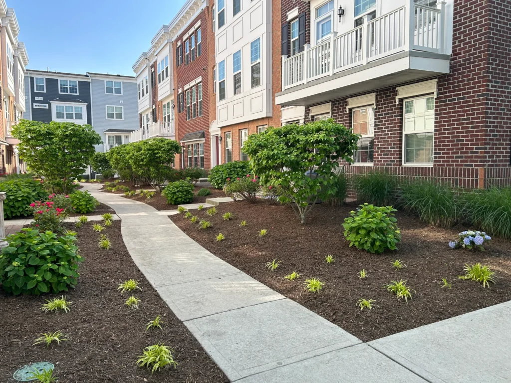 commercialoutdoorspacecoltsneck Baur Lawns
