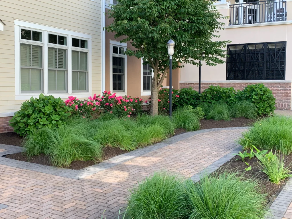 professionallandscapingcoltsneck Baur Lawns